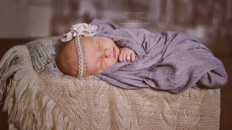 Madison Newborn Photography; Madison Photographer; Brenda Eckhardt Photography; Newborn Photos; Professional Newborn Photographer; Professional Newborn Photographer Madison Wisconsin;Newborn Photographers Madison WI